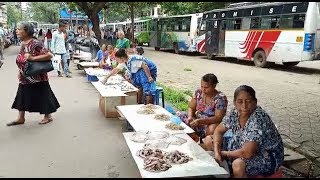"No Sopo For You" - Vasco Fish Vendors Demand Removal Of Migrant Fish Vendors