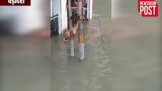 Crocodile takes over Vadodara road, almost eats up dog. Gujarat floods unleash scary viral videos