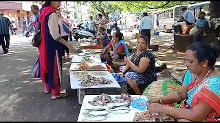 Mormugao Municipal Council To Smell Like Vasco Fish Market, Soon!