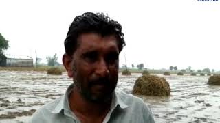 Keshod | Off Season Rain Anxiety in the farmer | ABTAK MEDIA