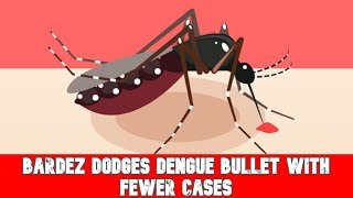 Bardez Dodges Dengue Bullet With Fewer Cases