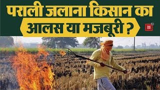 पराली जलाना किसान का आलस या मजबूरी ? || Stubble Burning in Punjab|| Delhi- NCR Pollution