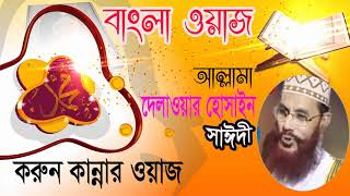 Allama Delwar Hossain Saidi Bangla Waz Mahfil | করুন কান্নার ওয়াজ । Bangla Waz Mahfil | Saidi Waz