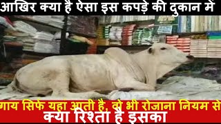 COW VIRAL NEWS इस दुकान में आखिर रोज क्यों बैठती है गाय, वजह जानकर चौक जाएंगे