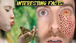 Top Amazing And Interesting Facts || Kannada Unknown Facts
