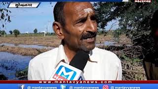 Surendranagar: માવઠાથી મોટાભાગના વિસ્તારોમાં પાકને નુકશાન