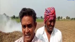 Padadhri | Peanuts are burnt by farmers | ABTAK MEDIA