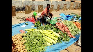 Retail inflation spikes to 16-month high of 4.62% in October