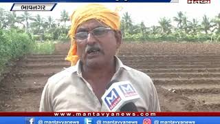 Bhavnagar: કમોસમી વરસાદને કારણે ખેતીને મોટા પાયે થયું નુકસાન