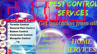CAIRO       Pest Control Services 》Technician ◇ Service at your home ☆ Bed Bugs ■ near me ☆■□¤●○°•♡♤