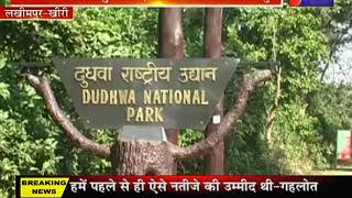 Dudhwa Tiger Reserve | विशव विख्यात दुधवा टाइगर रिजर्व में पर्यटन सत्र शुरू