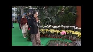 आयर्न लेडी इंदिरा गांधी जयंतीनिमित्त कॉंग्रेसतर्फे विविध कार्यक्रम