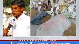 Rajkot: કમોસમી વરસાદથી ખેડૂતો બેહાલ