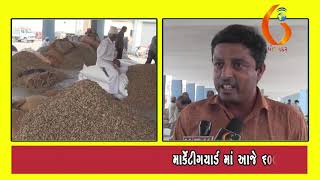 Gujarat News Porbandar 18 11 2019