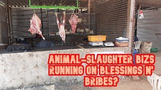WATCH: Verla-Canca Sarpanch Churning Out Illegal Animal-Slaughter Bizs For Healthy Bribe?