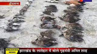CM Ashok Gehlot | सांभर में पक्षियों की मौत पर सीएम गहलोत ने जताई चिंता ली बैठक | Jna TV