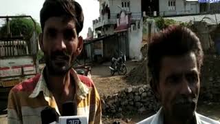 Bagasra: Cows died after eating lado on Bagsara Hamapur Road| ABTAK MEDIA