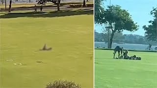 पार्क में दिन के उजाले में बनाए शारीरिक संबंध, वीडियो हुआ वायरलTHE NEWS INDIA