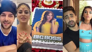 Bigg Boss 13: Mahira Sharma Birthday Celebration By Family And Friends