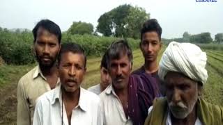 Surendranagar | The entry of a lion in the village during Nighat| ABTAK MEDIA
