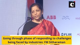 Going through phase of responding to challenges being faced by industries: FM Sitharaman