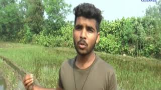 Kdana | More than 50 acres of farmers' land re-plowed | ABTAK MEDIA