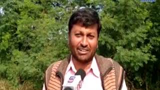 Keshod | Farmers' winter crops fail due to poor rainfall| ABTAK MEDIA