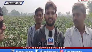 Gujarat Nonstop (13/12/2019) Mantavyanews