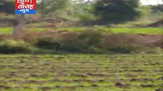 વડિયા-દેવળકી સીમમાં દીપડો દેખાતા ખેડૂતોમાં ભય