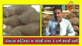 Gujarat News Porbandar 13 12 2019