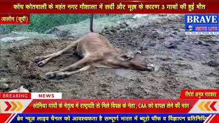 गौशाला में गायों की मौत से मचा हड़कंप, प्रदेश सरकार के दावों को खोखला कर रहे अधिकारी