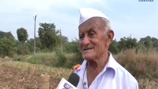 Dhari | Organic turmeric cultivation in more than 3 sorghum soil | ABTAK MEDIA
