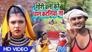 HD Video #गोरी चला करे धान के कटनिया #Amit Mastana और Khushbu Raj का #कटनी गीत - New Live Geet 2019