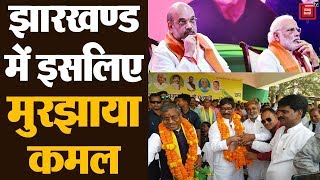 BJP की इन पांच गलतियों के कारण Jharkhand में हुई हार