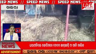 SPEED NEWS 25 12 2019