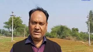 Sabarkantha | Locust in Dantral village leaves farmers worried| ABTAK MEDIA