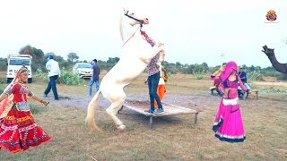 Rajasthani Gurjar Rasiya 2019 | मैं तितली बागों की | Latest Video Song 2019 || Rajasthani Sekkawati