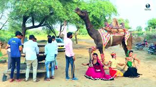 New Dj Rasiya Video Song || मेरी एड़ी की धमक - Meri Adi Ki dhamak || Vid Evolution Rajasthani