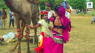 Rajasthani Gurjar Rasiya Video Song | छज्जे ऊपर बोयो री यबाजरो || Vid Evolution Rajasthani