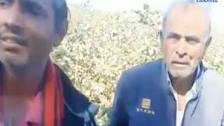 Vadia | Demands for farmers to be given lights during the day | ABTAK MEDIA
