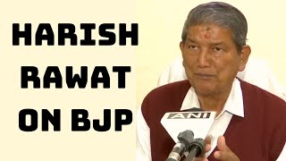 Congress Should Project Chief Ministerial Candidate In Elections To Counter BJP: Harish Rawat