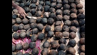 West Bengal Elections 2021: 41 crude bombs recovered from South 24 Parganas district
