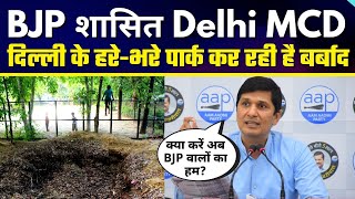 BJP शासित Delhi MCD Delhi के हरे-भरे Parks  कर रही है बर्बाद Exposed By AAP Leader Saurabh Bharadwaj
