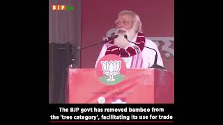 The BJP govt has removed bamboo from the "tree category", facilitating its use for trade - PM Modi