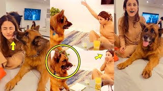 Shehnaaz Gill Till Date Very CUTEST Video With Her Pet Dog | Playing With Dog Is Just too ADORABLE