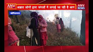 जोगिंदरनगर : अज्ञात लोगों द्वारा जंगलों में लगाई जा रही है आग