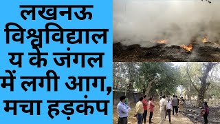 लखनऊ विश्वविद्यालय के जंगल में लगी आग, मचा हड़कंप