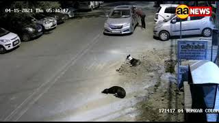 CCTV, 2nd Car theft Bunkar Colony Ashok Vihar Delhi लगातार कार चोरी