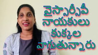 Anusha Undavalli Hot Comments Kodali Nani | social media live