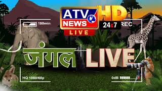 Promo - जंगल LIVE @ATV News Channel HD
